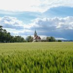 nature-eglise.jpg